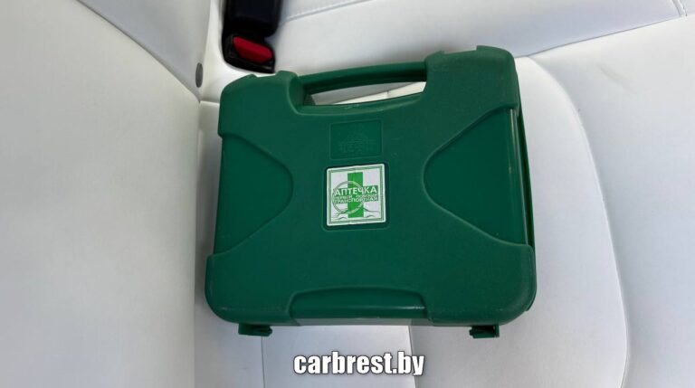 Автомобильная аптечка белорусская на заднем сиденье авто